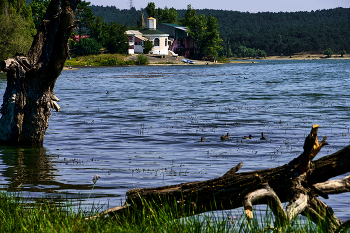 Симферопольское водохранилище / Крым. Симферополь. Вчера