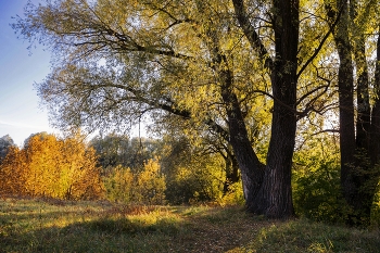 &nbsp; / п.Щербаковка,Татарстан