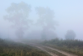 Два старых тополя в тумане ... / Утренний этюд ...