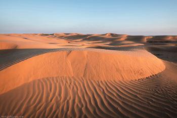 &quot;Калмыцкие пески&quot; / Посреди степей Калмыкии встречаются участки настоящих песчаных пустынь
