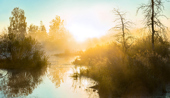 Тишина осени / Золотистый рассвет. Слышать своё сердце.
Из фотопроекта «Магия Ленинградской области».
