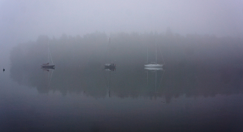 Утро, туман... / Август. Хельсинки, Вуосаари 

https://photocentra.ru/work/1054453