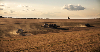 Уборка урожая / ***