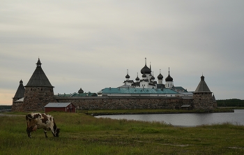 Соловки / Лето