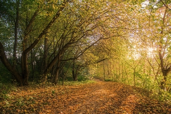 &nbsp; / п.Щербаковка,пригород Казани