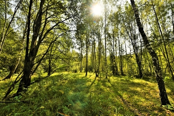 &quot;Вот и лето прошло, словно и не бывало ...&quot; / &quot;Вот и лето прошло,
 словно и не бывало.
 На пригреве тепло.
 Только этого мало ...&quot;
 А.Тарковский