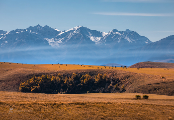 Осень на фоне гор / Виды с перевала Гамбаши. Хрустальный горный воздух.
Фотопроект «Кавказ без границ».