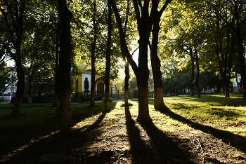 парк на рассвете / городской парк солнечным утром