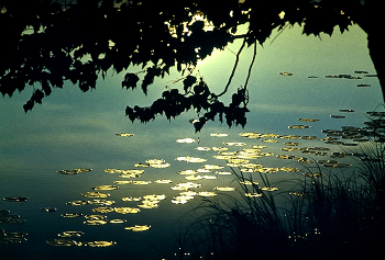 Вечереет / Слайд. 80- года