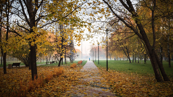 В осеннем парке... / ***