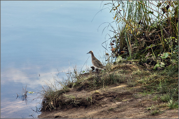 Когда небо сливается с водой. / Сентябрь в Архангельске. Северная Двина, остров Краснофлотский.