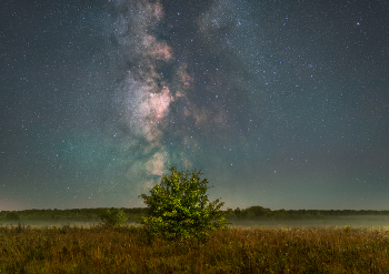 Milky Way / астро фото