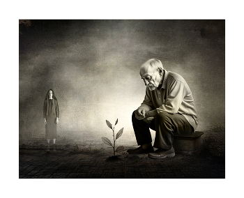 в ожидании урожая / digital art