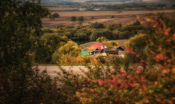 Село Каратово в сентябре / деревня, осень, деревья