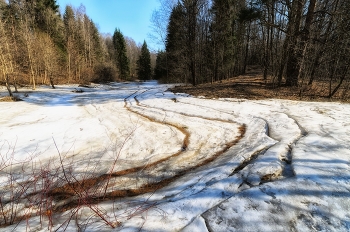 Кривые дорожки весны. / Апрель 2018. Невский лесопарк.