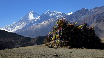На перевале / Непал. Нижний Мустанг. Вид на Дхаулагири. Возможно репост