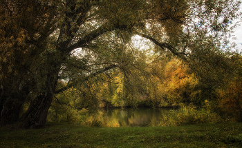 Сентябрь на реке Ик / осень, деревья, речка