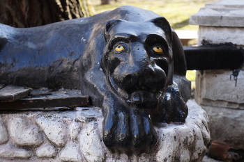 Большой кошка / Большой кошка