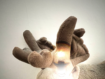 &nbsp; / Eingebrannt