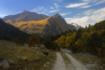 Осеннее утро / Гондарай