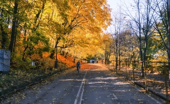 Время клёна / Москва, возле Воробьёвых гор