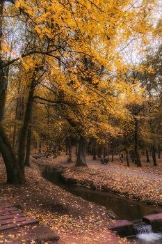  / Осенний парк