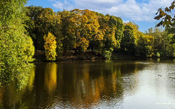 в парке / Лефортовский парк,Москва