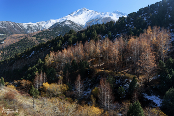 Осень в горах / Ущелье Кадырберды, Киргизский хребет, Тянь-Шань.