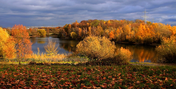 Осени краски / ***