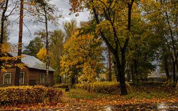 пасмурно / Осеннее пасмурное утро