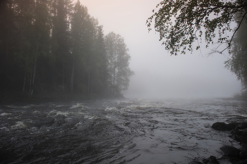 &nbsp; / Суна, Карелия