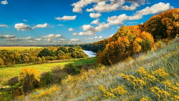 золотая осень / Золотая осень на реке Быстрая Сосна. Ливны. Шатилова гора.