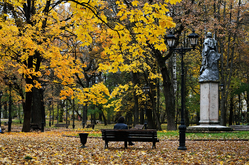  / В городском парке...