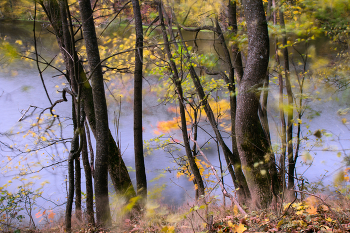 &quot;Осенние растрёпки&quot;. / Снимок сделан с выдержкой 10 сек. ND 16 + CPL