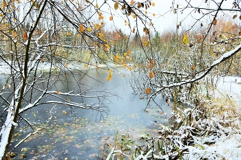 &quot;О снега первого нежданное явленье ...&quot; / &quot;О снега первого нежданное явленье,
 Приветствую тебя в моем уединенье ...&quot;
 А.Апухтин