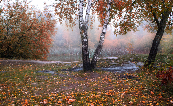 Осень у пруда / Снято утром возле пруда