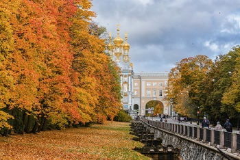 Осень в Царском Селе / Екатерининский парк. Октябрь 2023.