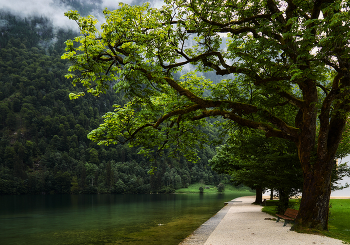 Променад / берег Королевского озера (Königssee)