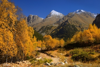 Осенний наряд / Узункол