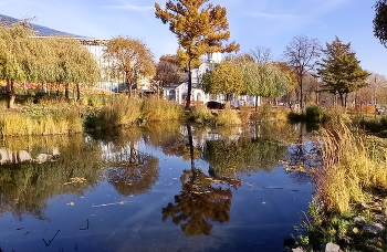 Синий пруд, белый храм, золотая осень / Москва, Зарядье.