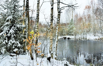 &quot;Зимним холодом пахнуло ...&quot; / &quot;Ночью буря бушевала,
 А с рассветом на село,
 На пруды, на сад пустынный
 Первым снегом понесло ...&quot;
 И.Бунин