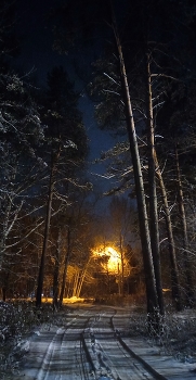 вечер / Первый снег, фонарь, дорога