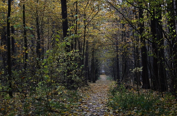 Осень / Осень