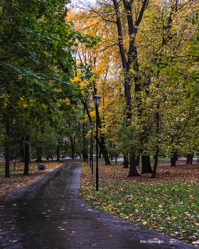 парковая аллея / Осень в парке