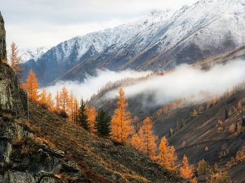 Преддверие зимы на Алтае. / Осенние туманные склоны Алтайских гор. Преддверие зимы. Бесконечные узоры низко плывущих облаков над долиной реки Аргут.