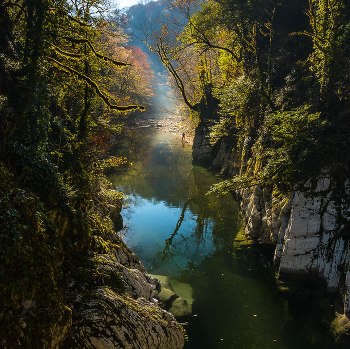 Река Хоста осенью / Настоящие джунгли в горном ущелье. 
Краснодарский край. Из фотопроекта «Кавказ без границ».