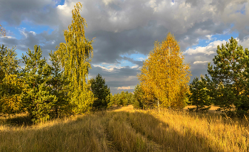 Ранней осенью. / ...