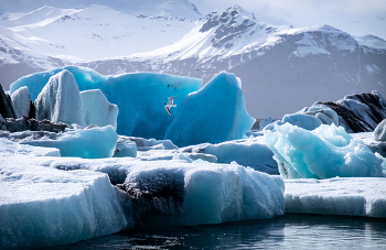 Jökulsárlón / Исландия, ледниковая лагуна