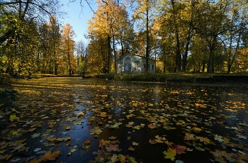 Первый лёд / Александровский парк