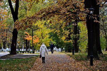 &nbsp; / В городском парке...